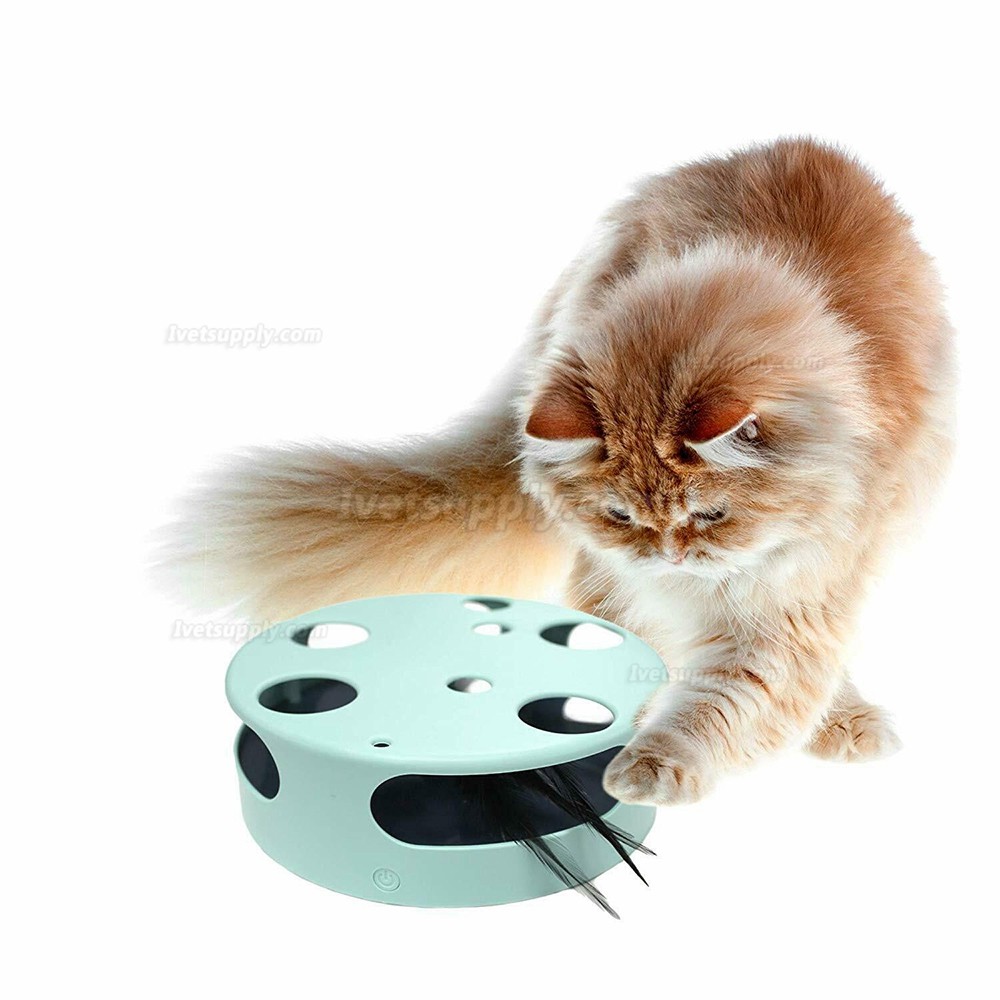Electric Smart Random Spinning Rotating Feather Cat Toys